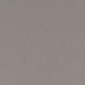Fossil Gray quartz